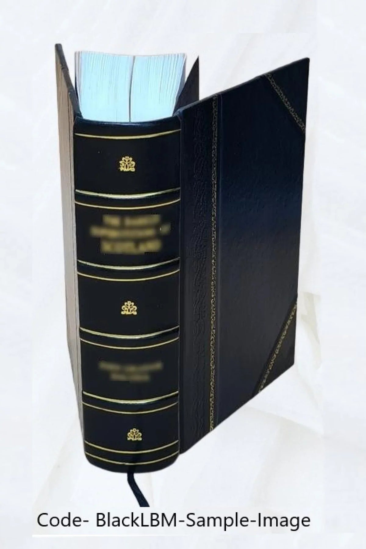 Opera omnia Volume t.4 1870 [Leather Bound]