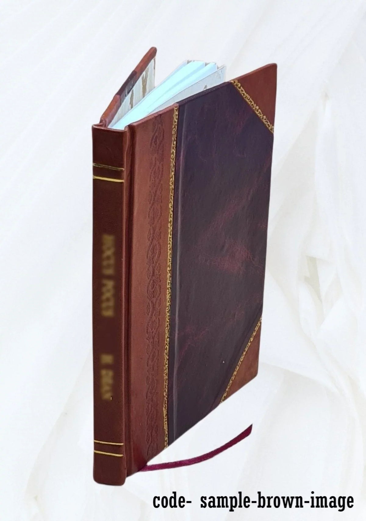 The Foundry 1896-11: Vol 9 Iss 51 Volume 9 1896 [Leather Bound]