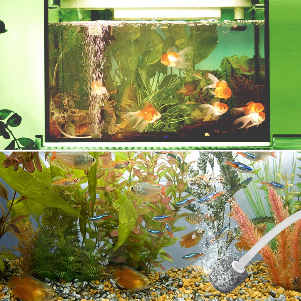 Htovila 5.5V 1.5W Solar Air Pump Fish  Oxygenator with Aquarium & Air Bubble Stone Pond Pump Aerator Rechargeable for Fishing Fish Tranportation Small Ponds Pools Circulation Garden Landscap