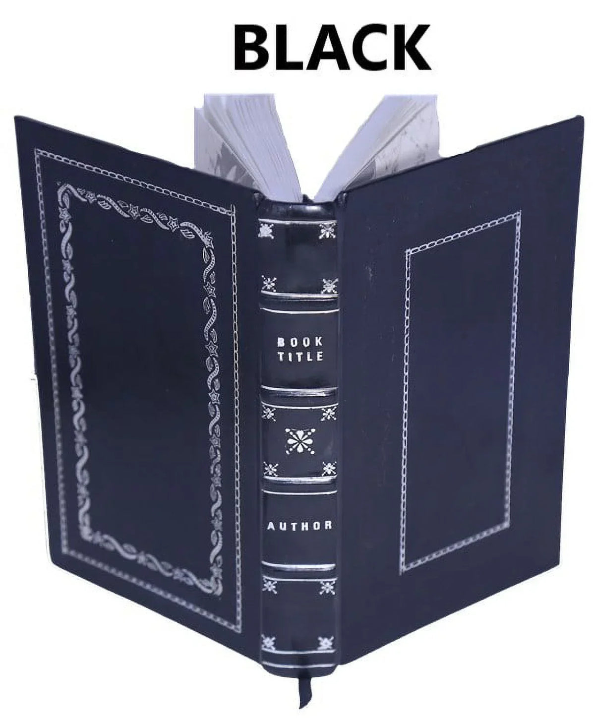 The filtration of public water-supplies 1905 [Premium Leather Bound]