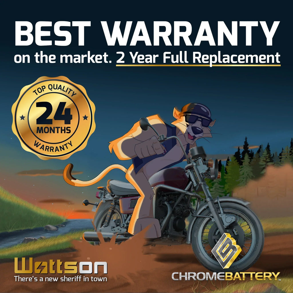 Chrome Battery Y50-N18L-A3 (50-N18L-A3 12 Volt,20 Ah, 260 CCA) Snowmobile Battery for Yamaha 700cc Sxv700er Viper Er 2004