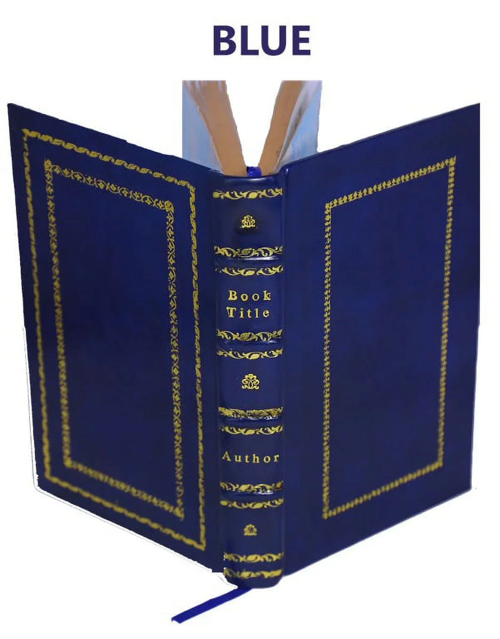 The filtration of public water-supplies 1905 [Premium Leather Bound]