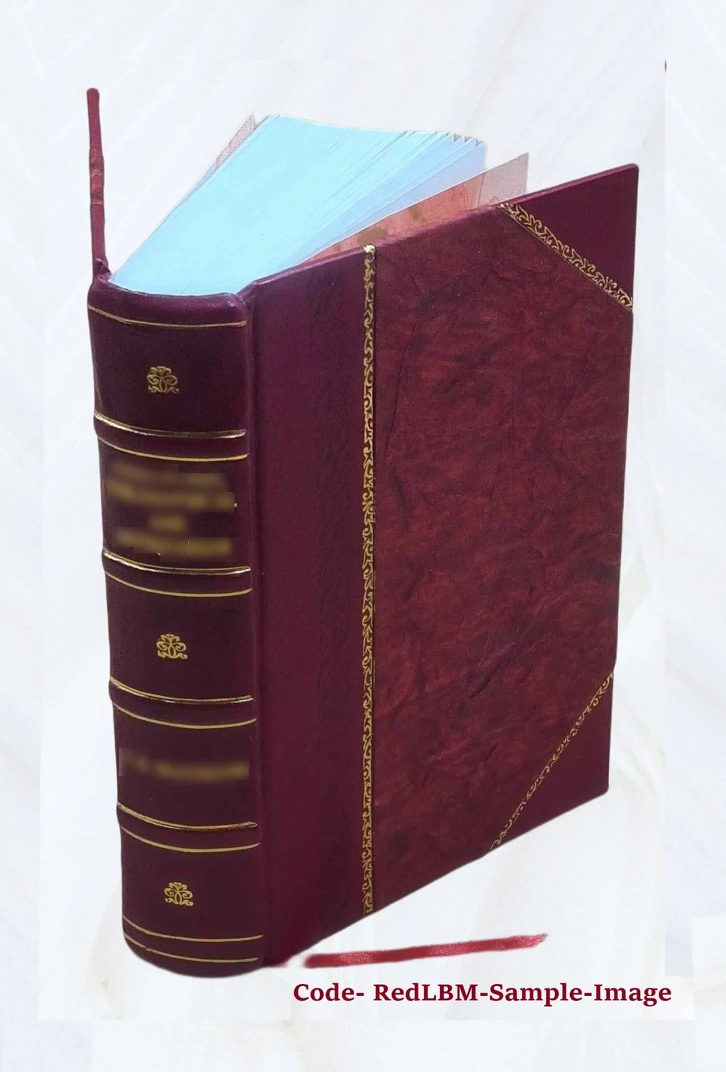 Raccolta delle provvisioni intorno le acque, i ponti, e le strade Volume 1 1828 [Leather Bound]