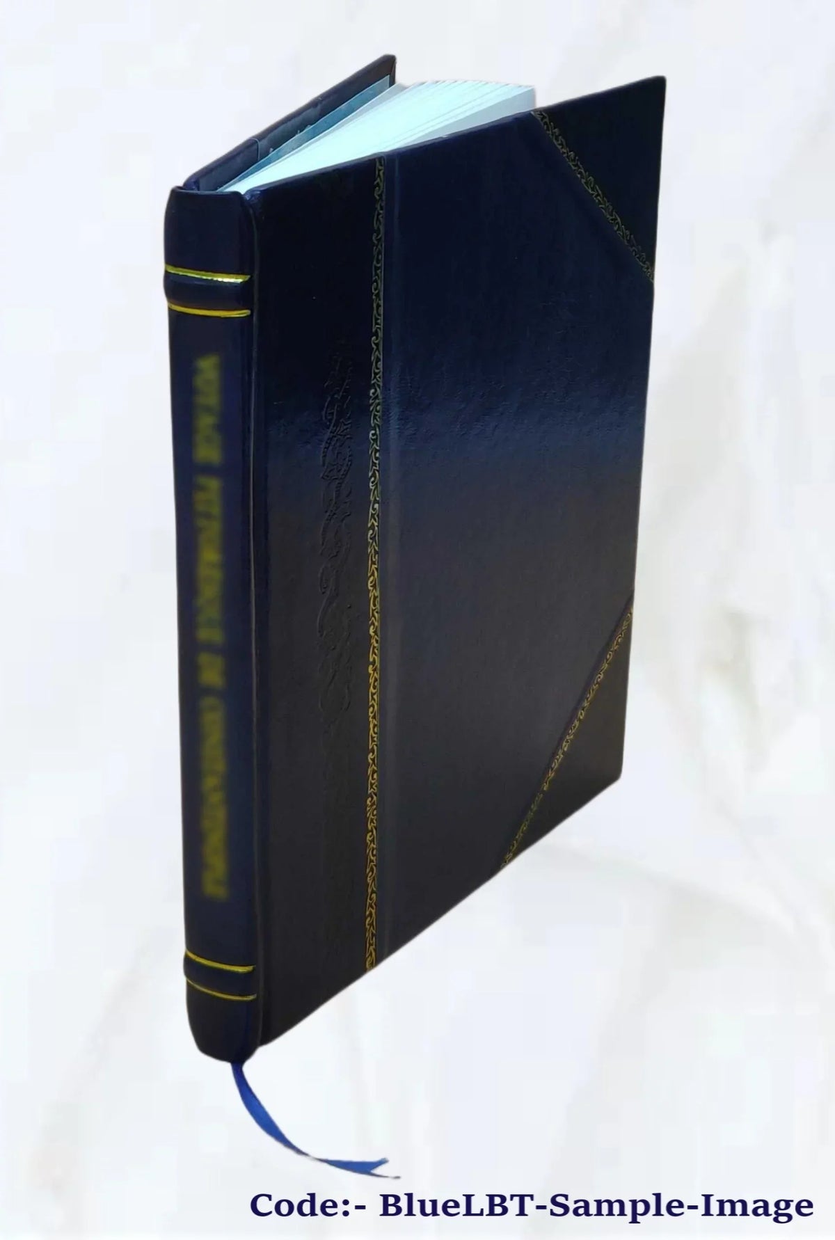The Foundry 1896-11: Vol 9 Iss 51 Volume 9 1896 [Leather Bound]